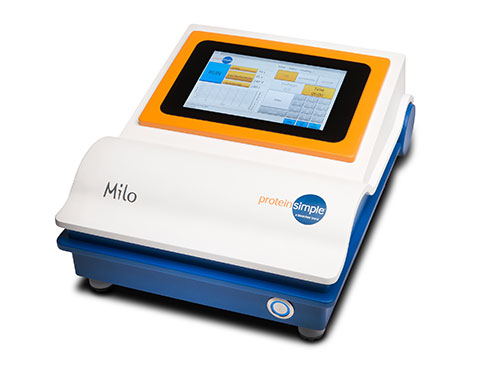 1500523172221333.jpg milo.jpg